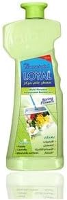 Loyal Dishwashing Liquid, Fresh Lemon Scent, 700ml, Green