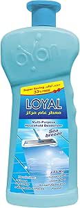 Loyal Multi-Purpose Household Deodorizer Concentrated Gel, Sea Breeze, 2100ml